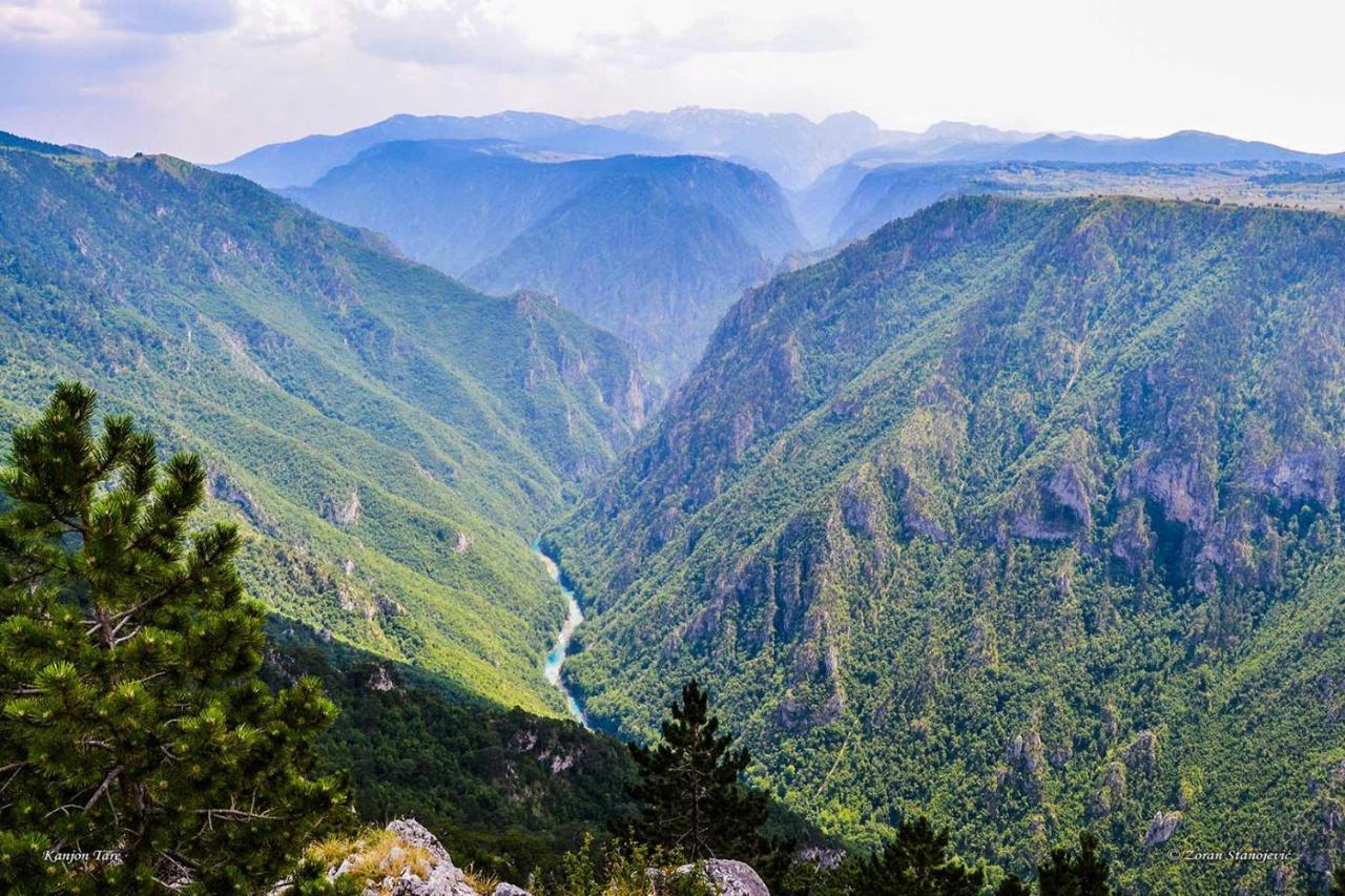Отель Rafting Camp Encijan Фоча Экстерьер фото